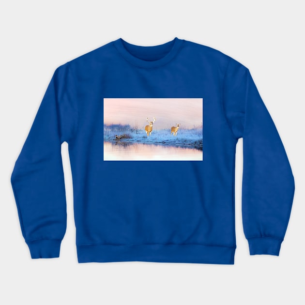 Deer at Winter Pond Crewneck Sweatshirt by lauradyoung